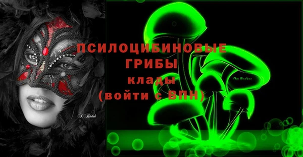 2c-b Ельня