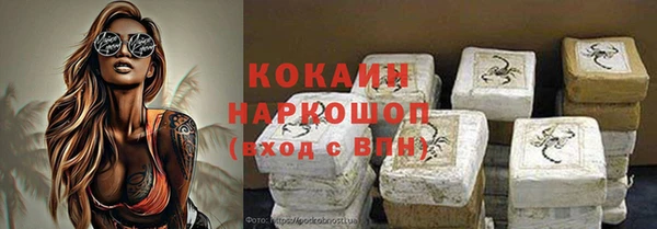 2c-b Ельня