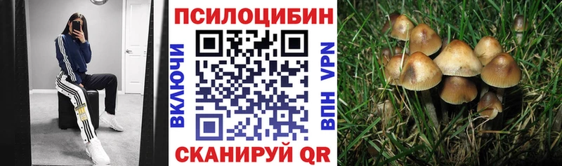 Псилоцибиновые грибы прущие грибы  где купить   Пятигорск 